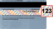 Visa CVV2